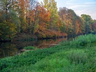 Autumn landscape of the colorful tree leaves along the river. View from the river bank covered with green grass.