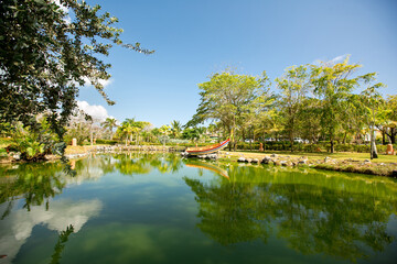 pond with boat surrounded by gardens in tropical.