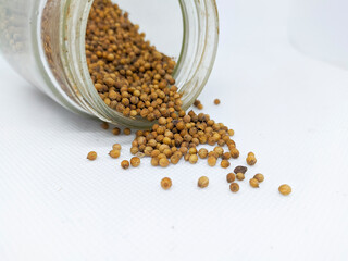 dried coriander seeds in the glass bottle, isolated on white background