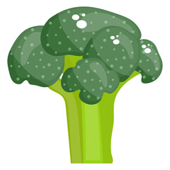 
Iron rich vegetable, broccoli icon in glyph style 
