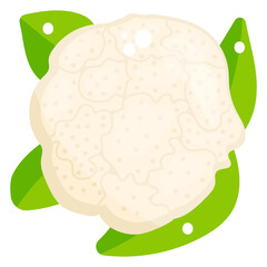 
Cauliflower with edible flesh resembling flower, glyph icon design 
