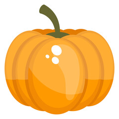 
A large fruit. pumpkin fruit but often referred to as vegetables
