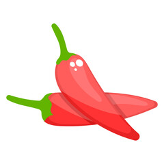 
Hot flaming red chillies used in cooking to add spice to food
