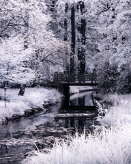 Bridge over the brook in the park. Infrared abstract vision.