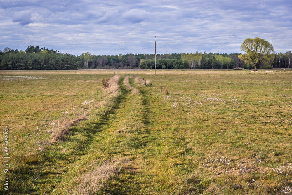 Canvas Prints Field road among meadows in Mazowsze region of Poland