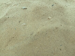 footprints on the beach