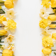 Frame with blank copy space made of yellow narcissus and tulip flowers on white background. Flat lay, top view floral festive holiday concept