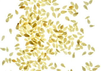 Sesame on white