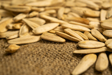 White sunflower seeds fried with sea salt in bulk on a background of coarse-textured burlap. Close up.
