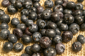 Blueberries scattered on a background of homespun fabric with a rough texture. Close up.