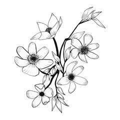 black and white flowers.set of floral elements for your design.hand drawn.flowers silhouettes. Vector EPS 10.