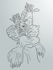 Continuous line, drawing of woman human bird, fashion concept, woman beauty minimalist, vector illustration for t-shirt, slogan design print graphics style