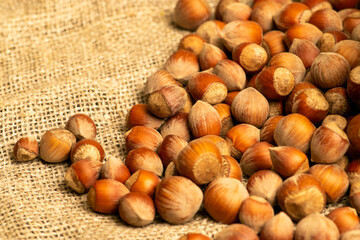 Hazelnut scattered on a background of homespun fabric with a rough texture. Close up.