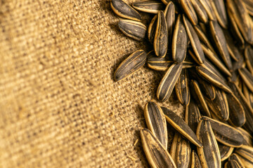 Fototapeta na wymiar Fried sunflower seeds scattered on rough-textured burlap. Close up.