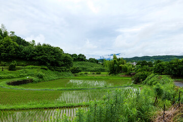 Fototapeta na wymiar Midsummer in Japan, a view of the countryside after the rain