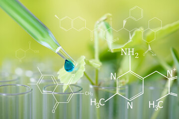 pipette dropping green sample chemical  over young sample plant growing in test tube ,...