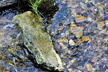 Strumyk górski  © merko