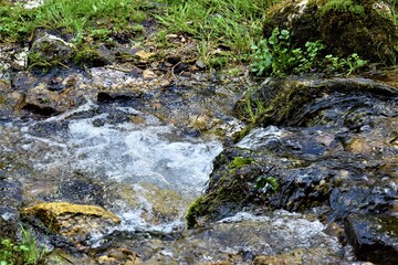 Strumyk górski  © merko