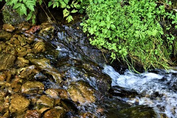 Strumyk górski  © merko