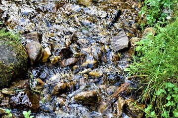 Strumyk górski  © merko