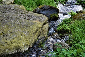 Strumyk górski  © merko