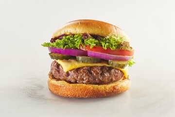 Burger shot of white background