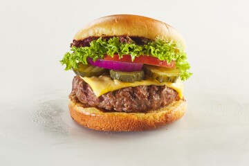 Burger shot of white background