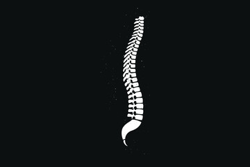 Simple Design of Reality Spine Bone Vector