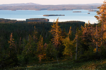 View to lake Kitka and summery taiga forest from Riisitunturi National Park during a beautiful sunset in Lapland, Northern Europe.  - obrazy, fototapety, plakaty