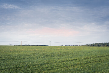 Fototapeta na wymiar Large flat green field with electricity pylons