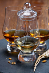 Scotch single malt and blended whisky tasting on distillery in Scotland