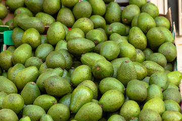 Bunch of fresh avocado on grocery counter. Istanbul, Turkey.