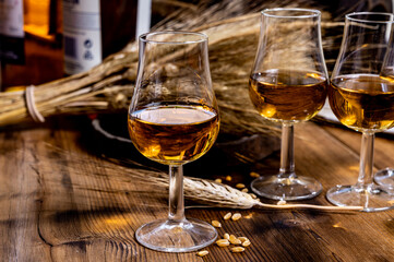 Tasting glasses with aged Scotch whisky or bourbon on old dark wooden vintage table with barley grains