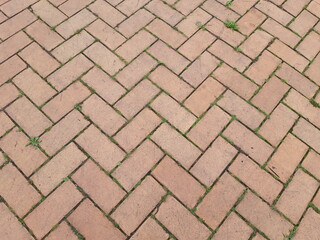 Herringbone red brick and few grass texture