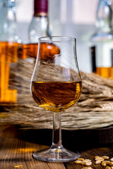 Tasting glasses with aged Scotch whisky or bourbon on old dark wooden vintage table with barley grains