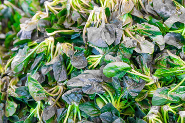 Natural spinaches on farmer's market stall.