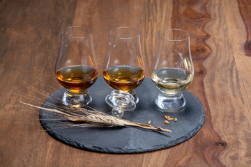 Scotch single malt and blended whisky tasting on distillery in Scotland