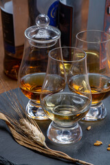 Scotch single malt and blended whisky tasting on distillery in Scotland