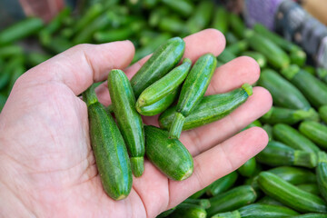 Fresh and organic mini green zucchinies in a male hand. © Stockwars