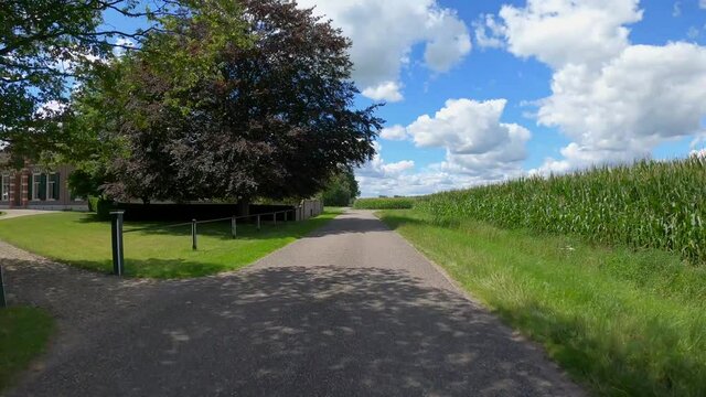 POV driving through farmland and corn fields in the Netherlands