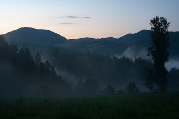ABENDLICHE NEBELSTIMMUNG . EVENING FOG ATMOSPHERE © LitterART