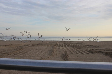 Brighton beach