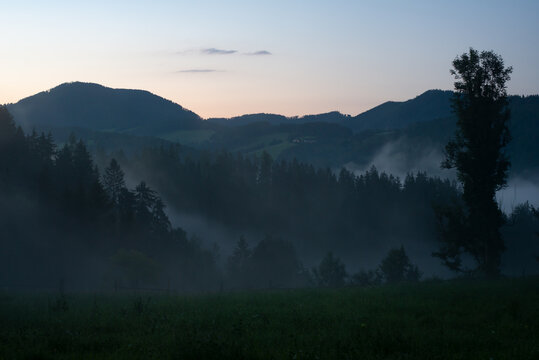 ABENDLICHE NEBELSTIMMUNG . EVENING FOG ATMOSPHERE