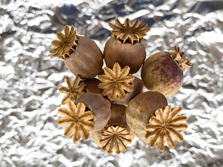 Poppyseed heads from the garden.