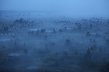 A beautiful and mystical foggy morning during summertime in Estonian nature, Northern Europe. 