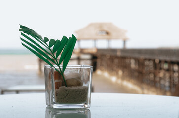 A decoration glass of sand, shells and a leaf