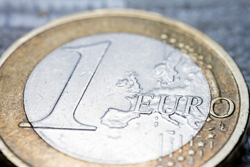 One euro coin macro detail