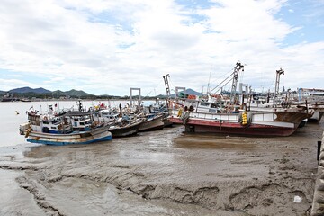 Fototapeta premium 한국에서여행하며찍은사진입니다