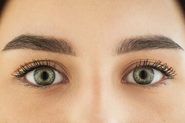 Obraz premium Close up of face, eyes of beautiful caucasian young woman, clear look. Human emotions, facial expression, cosmetology, body and skin care concept. Hopeful, dreamful look, sight. Psychology, fashion.