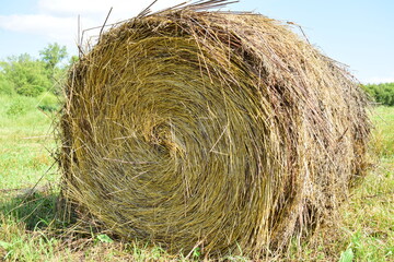 hay bale in the field